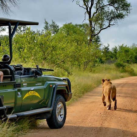 Kruger Safari Lodge Manyeleti viltreservat Eksteriør bilde