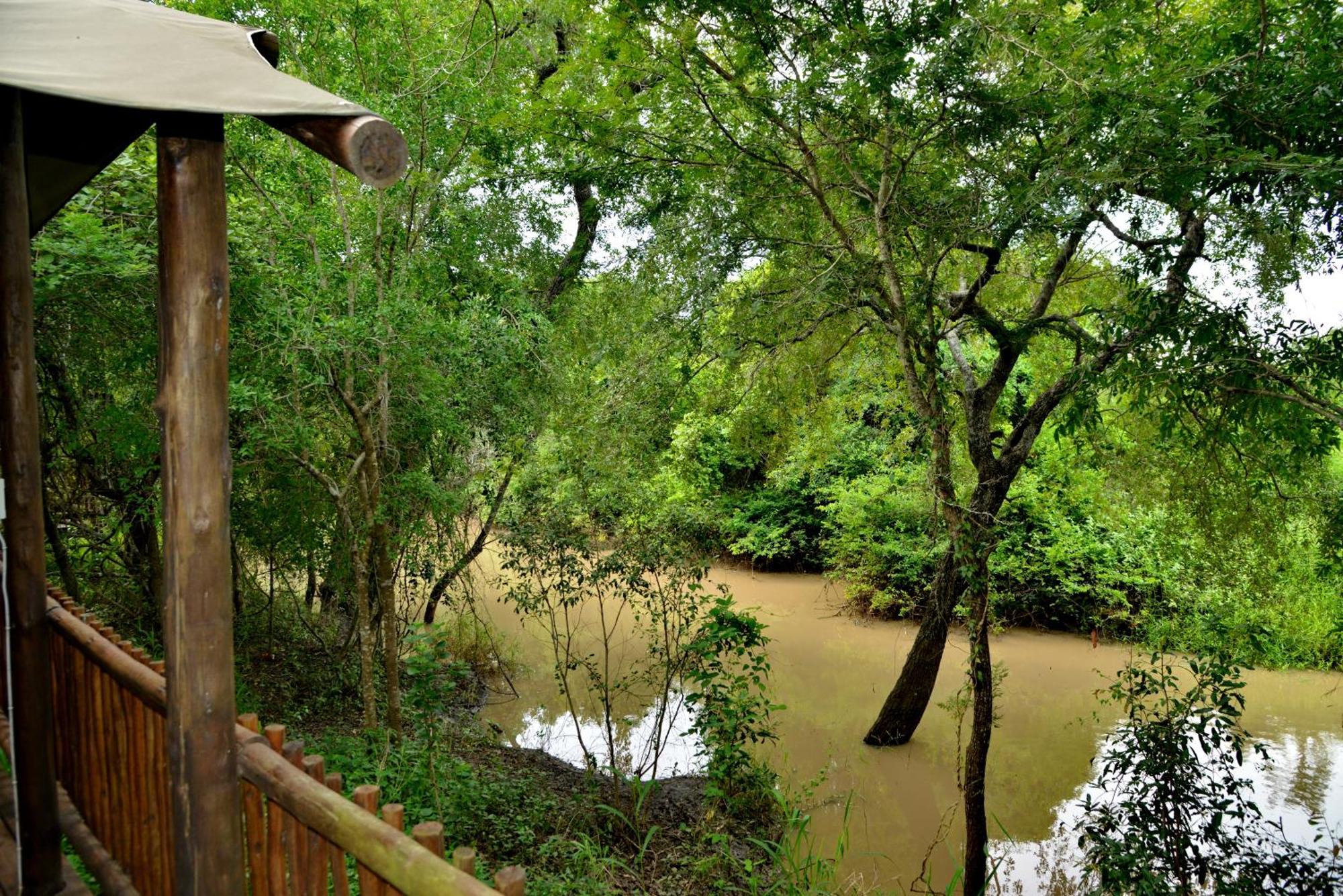 Kruger Safari Lodge Manyeleti viltreservat Eksteriør bilde