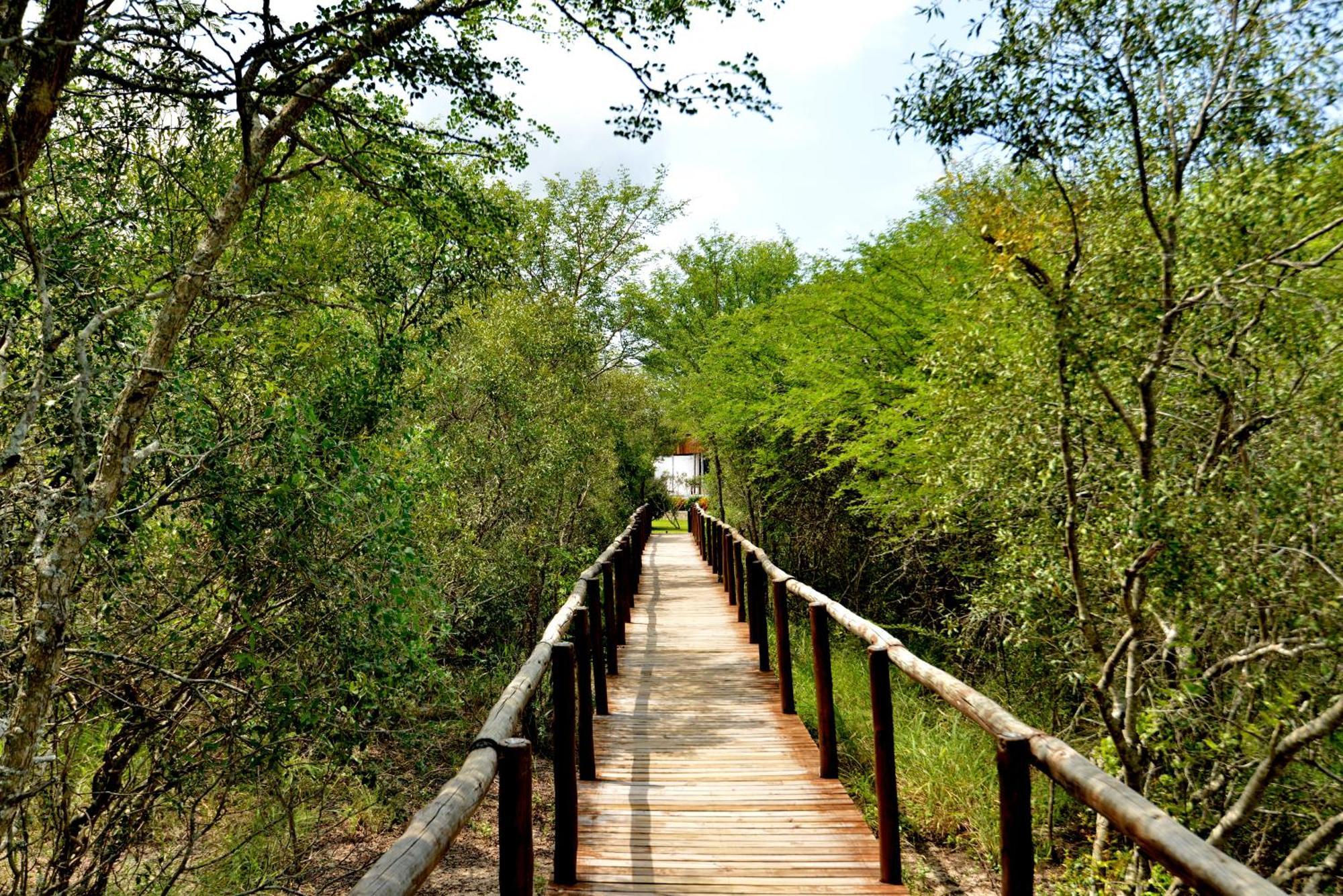 Kruger Safari Lodge Manyeleti viltreservat Eksteriør bilde