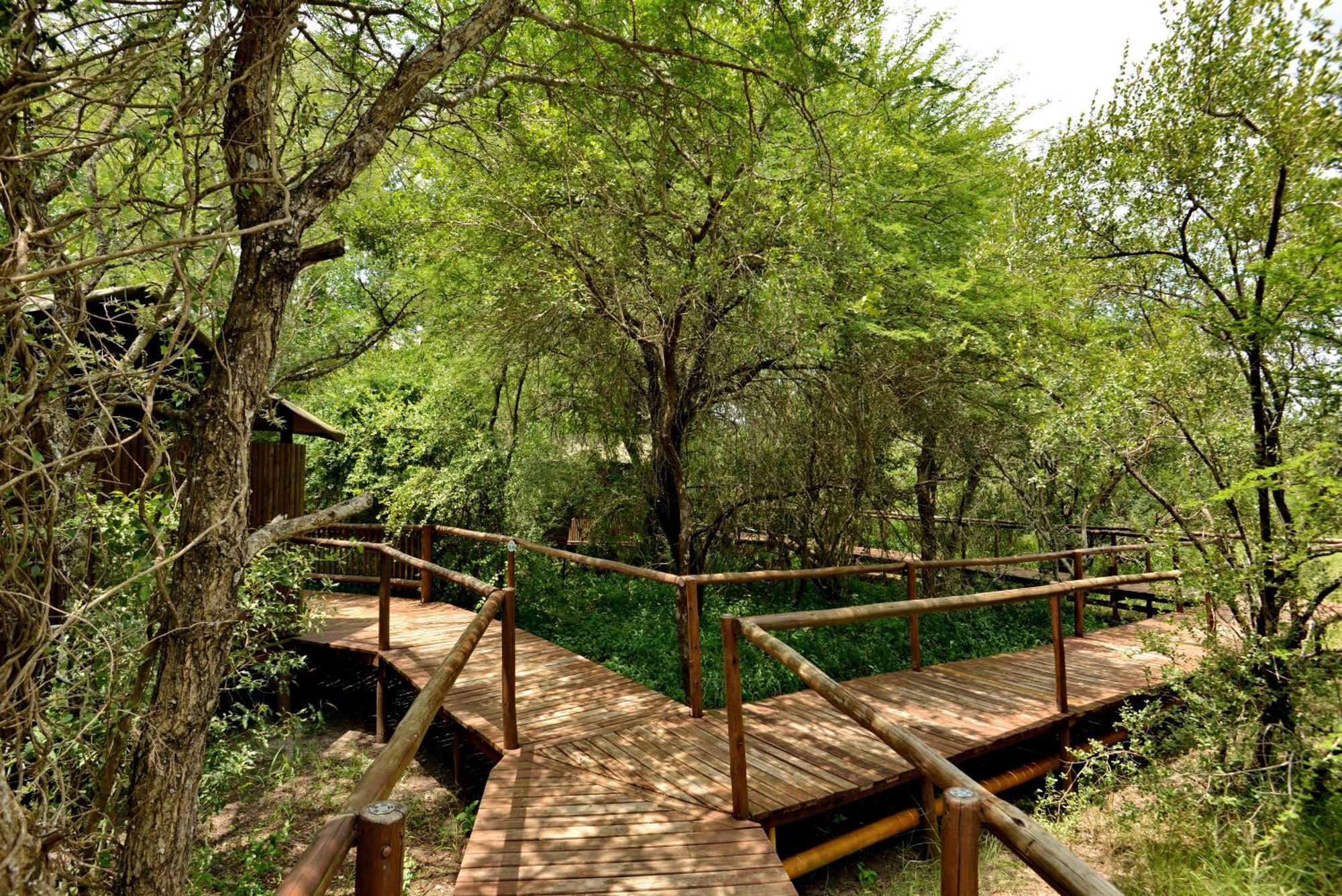 Kruger Safari Lodge Manyeleti viltreservat Eksteriør bilde