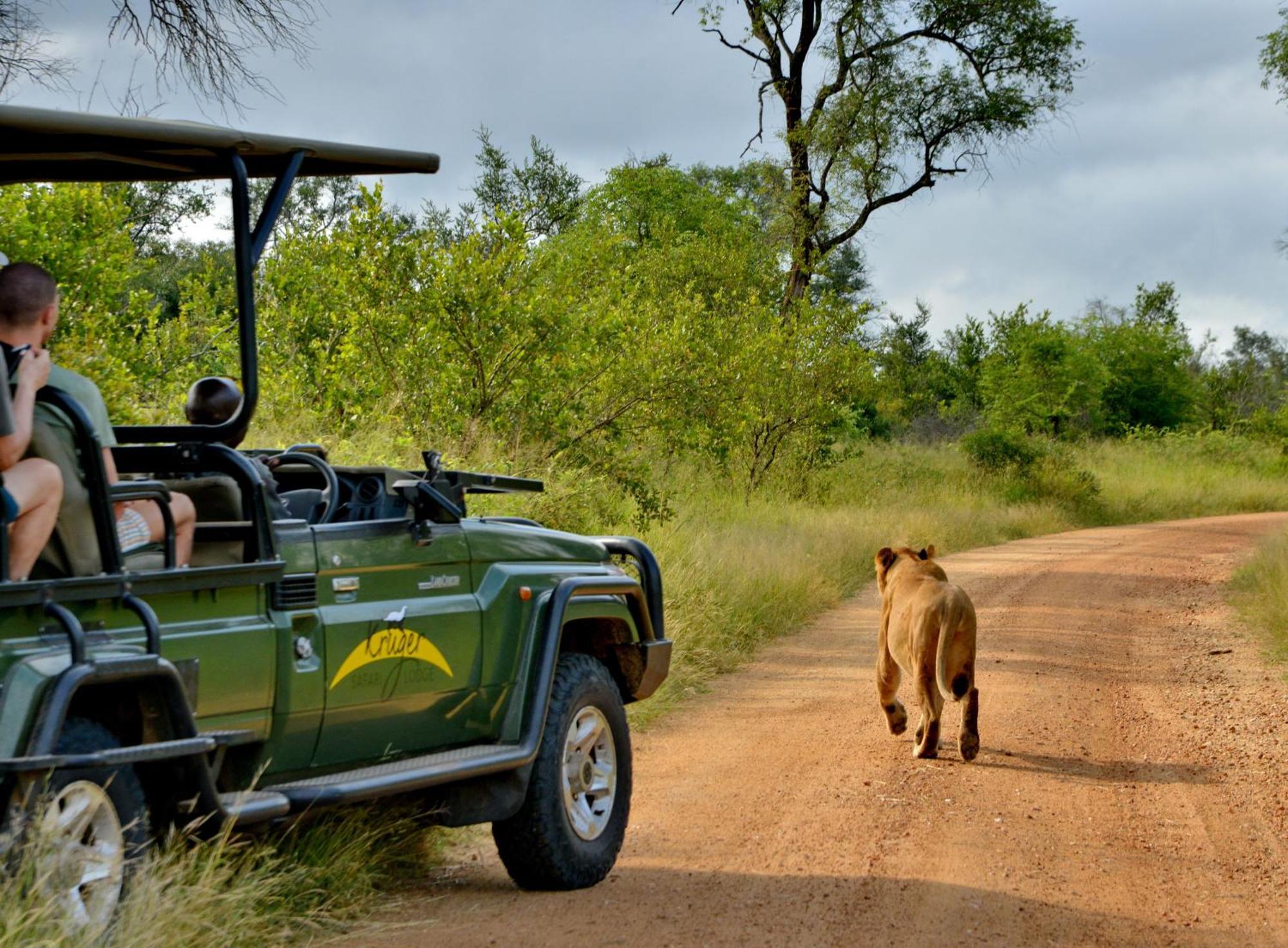 Kruger Safari Lodge Manyeleti viltreservat Eksteriør bilde