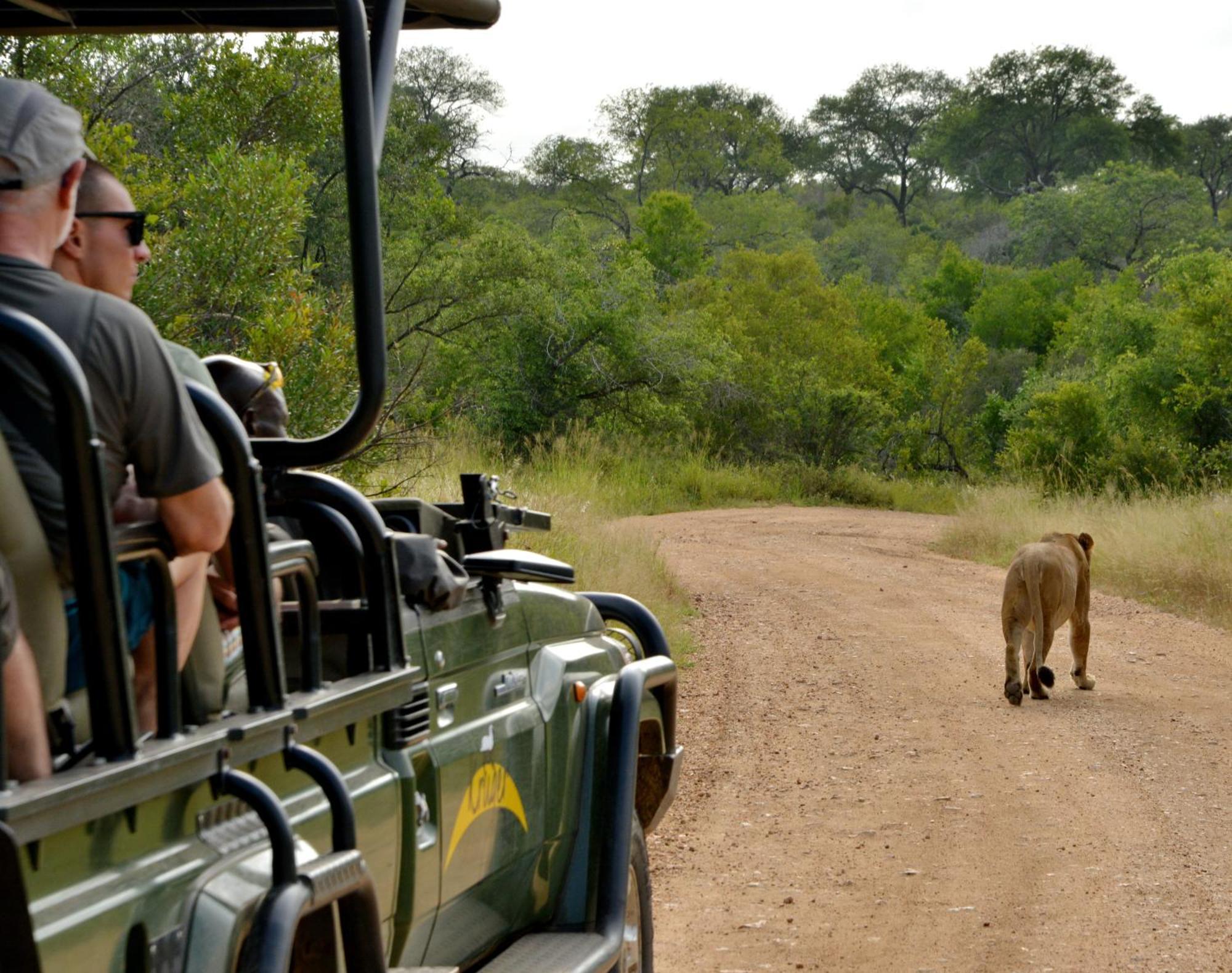 Kruger Safari Lodge Manyeleti viltreservat Eksteriør bilde
